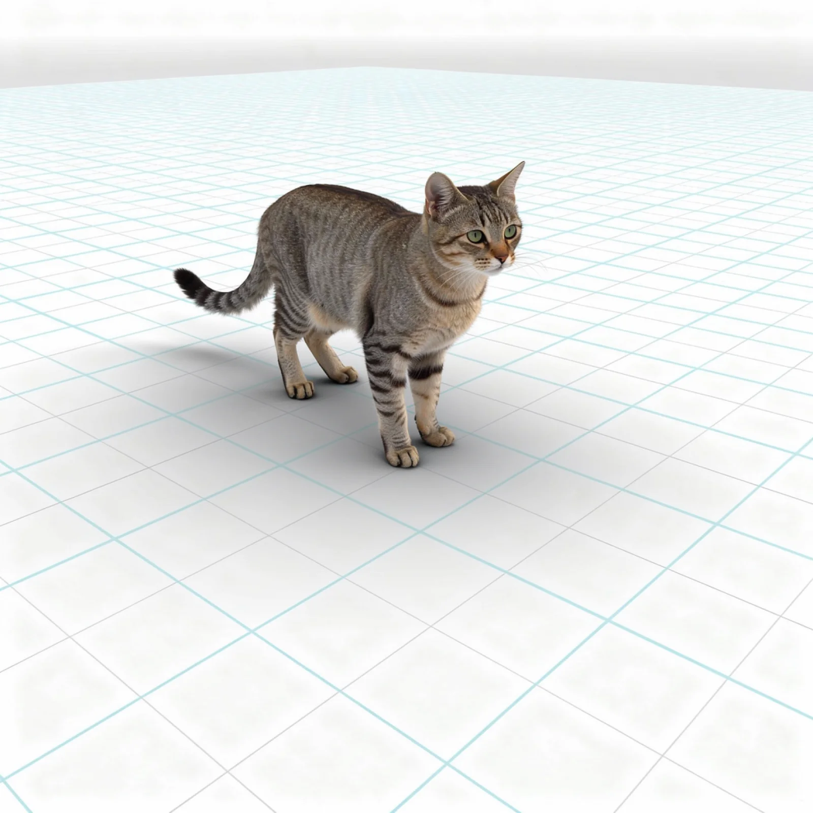 Textured photorealistic 3D scene output